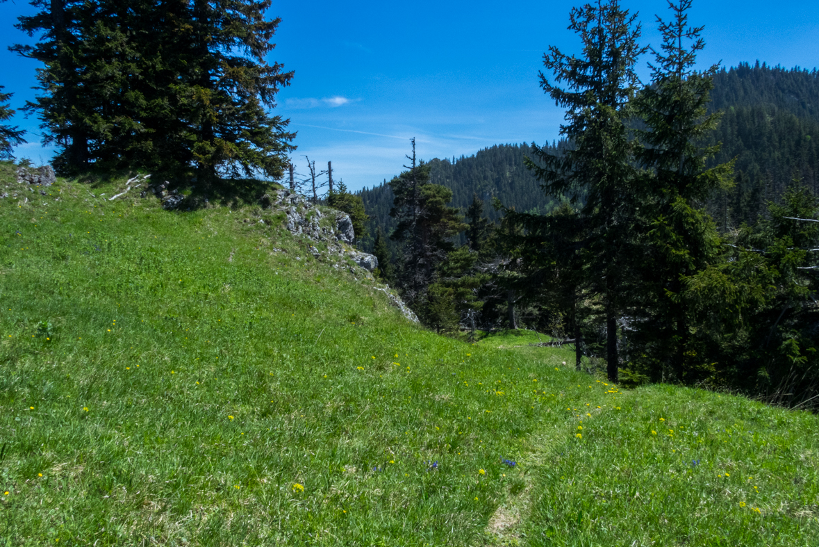 Poludnica z Iľanova (Nízke Tatry)