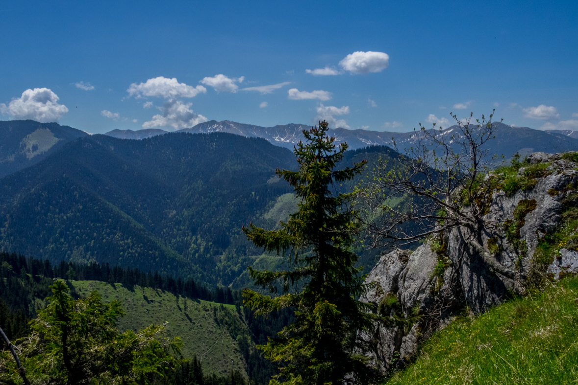 Poludnica z Iľanova (Nízke Tatry)