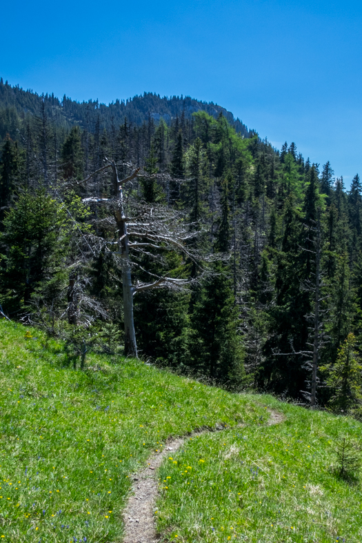 Poludnica z Iľanova (Nízke Tatry)