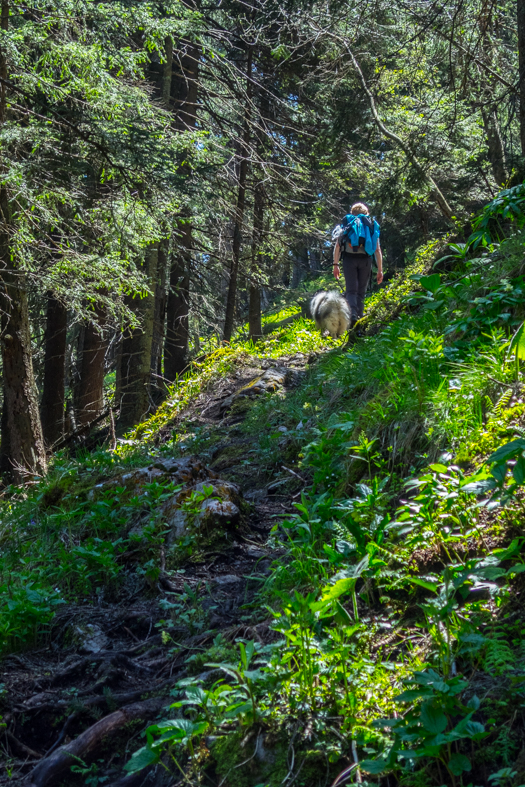 Poludnica z Iľanova (Nízke Tatry)