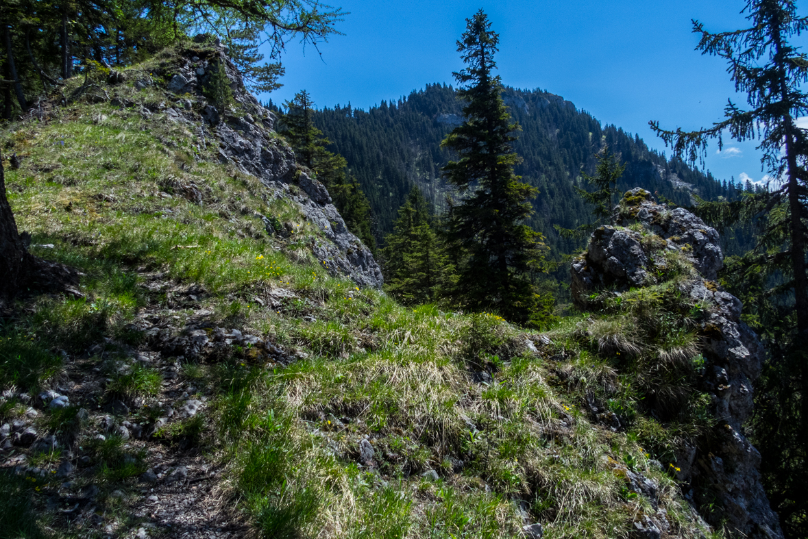 Poludnica z Iľanova (Nízke Tatry)