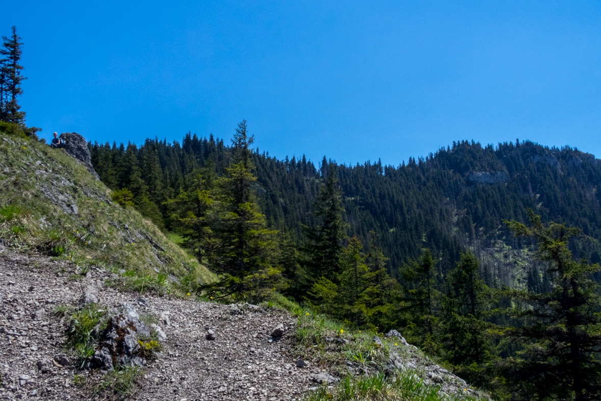 Poludnica z Iľanova (Nízke Tatry)