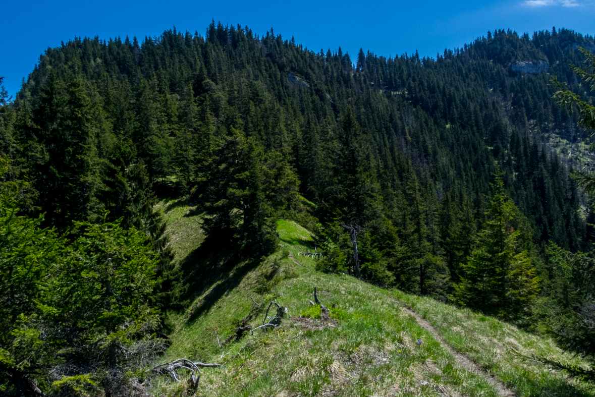 Poludnica z Iľanova (Nízke Tatry)