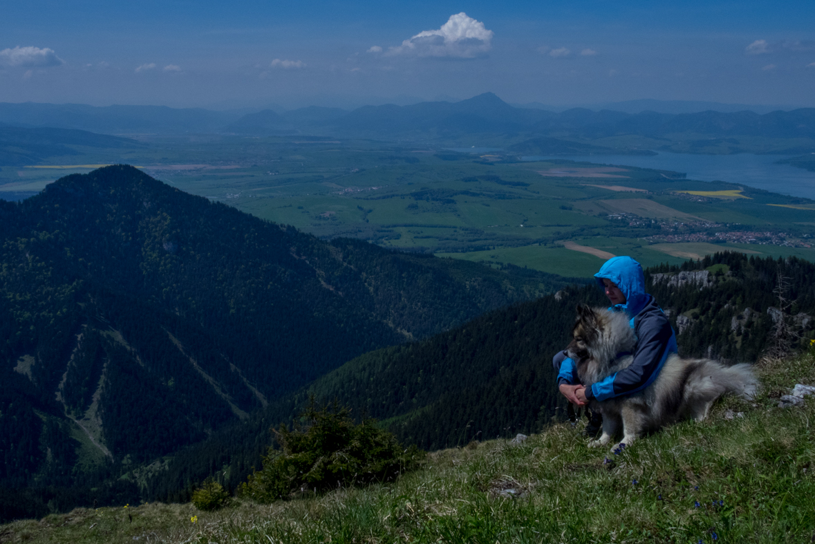 Poludnica z Iľanova (Nízke Tatry)