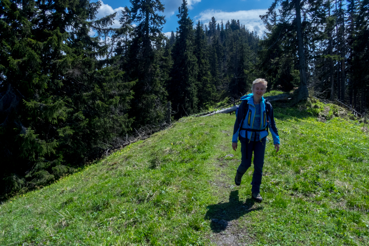 Poludnica z Iľanova (Nízke Tatry)