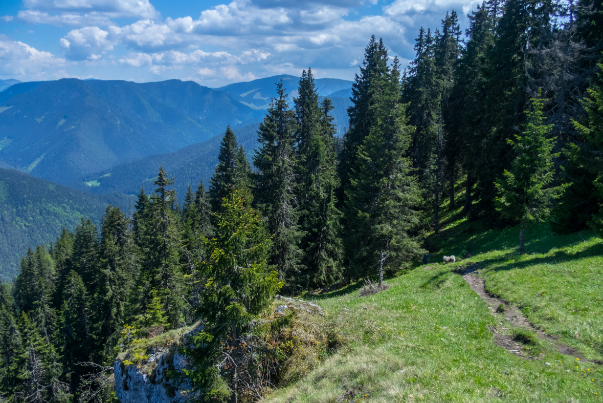 Poludnica z Iľanova (Nízke Tatry)