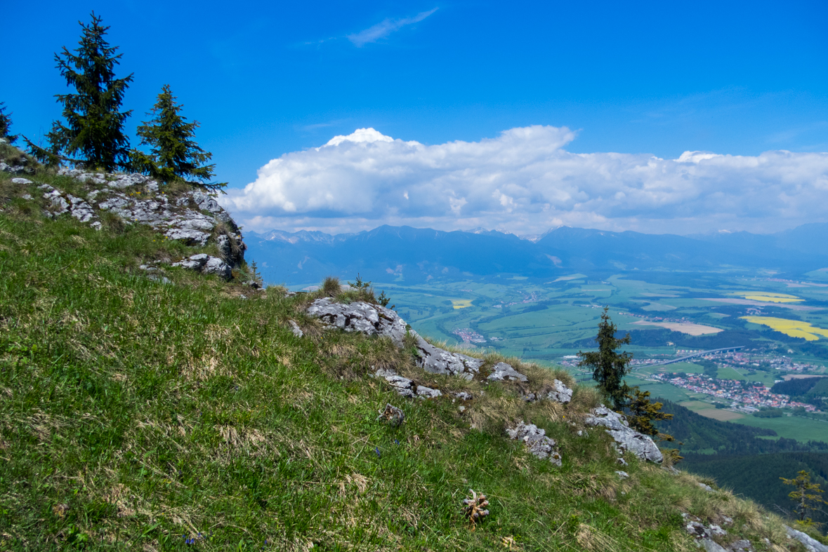 Poludnica z Iľanova (Nízke Tatry)