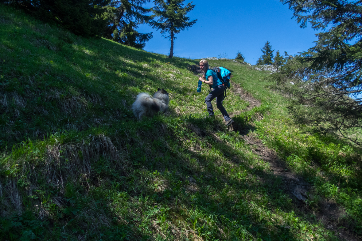 Poludnica z Iľanova (Nízke Tatry)