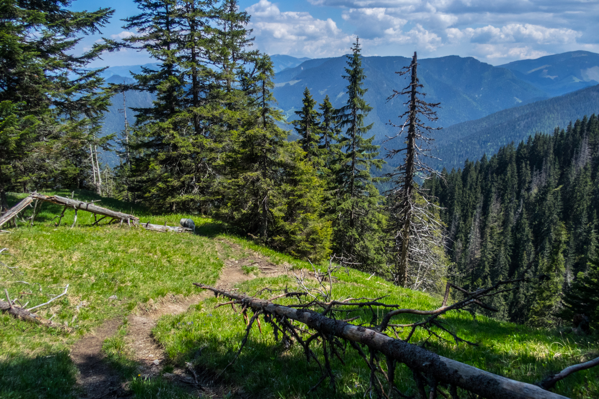 Poludnica z Iľanova (Nízke Tatry)