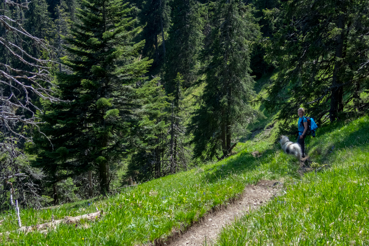 Poludnica z Iľanova (Nízke Tatry)