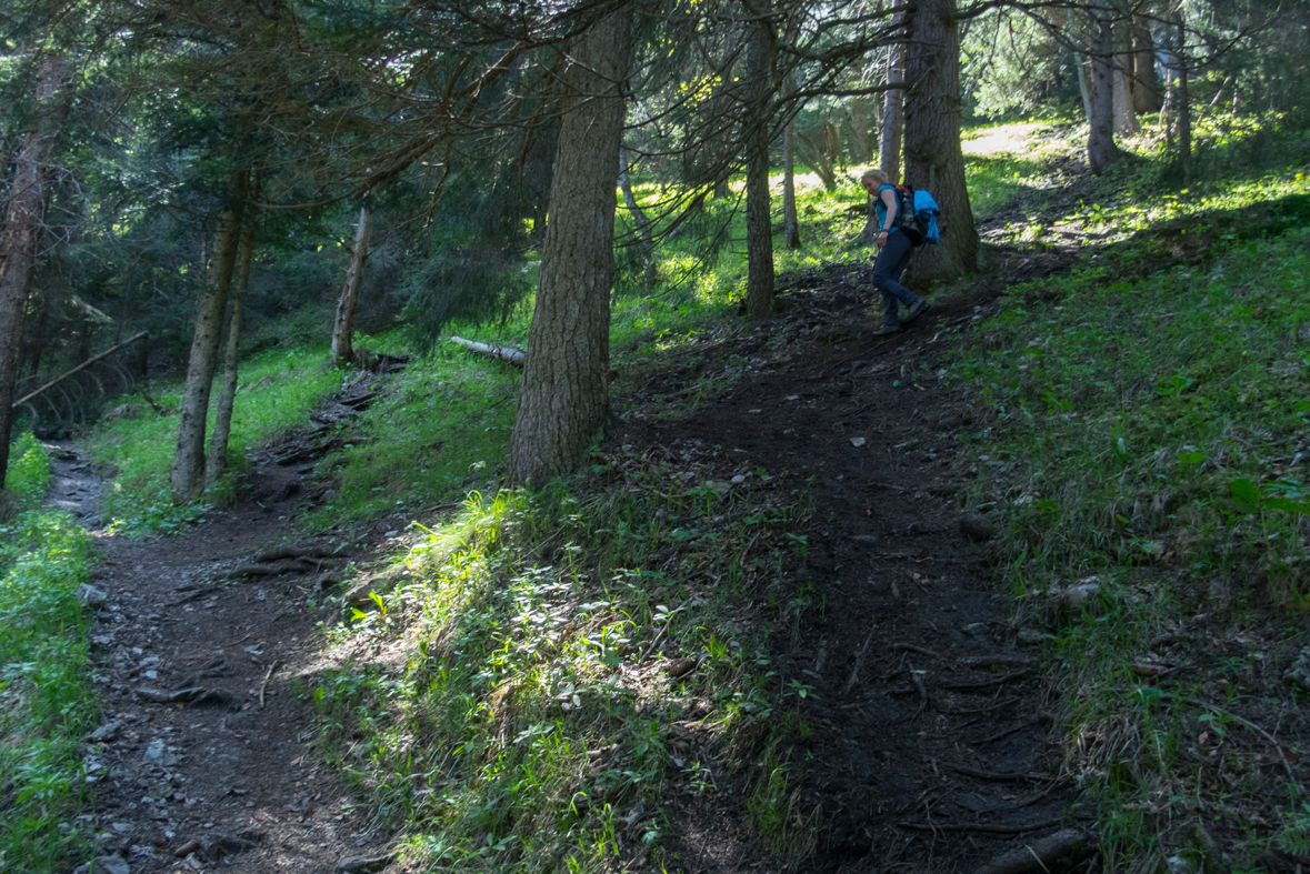 Poludnica z Iľanova (Nízke Tatry)