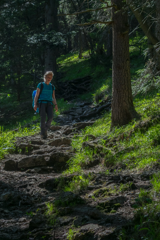 Poludnica z Iľanova (Nízke Tatry)