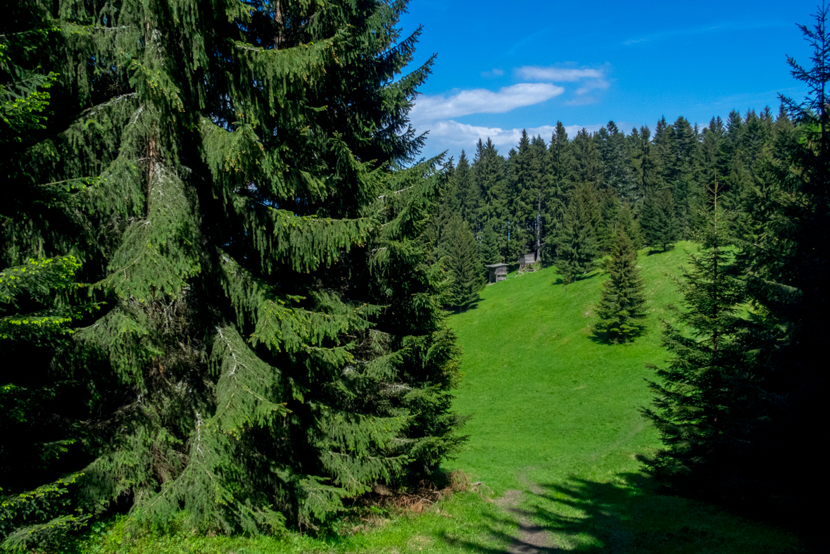 Poludnica z Iľanova (Nízke Tatry)