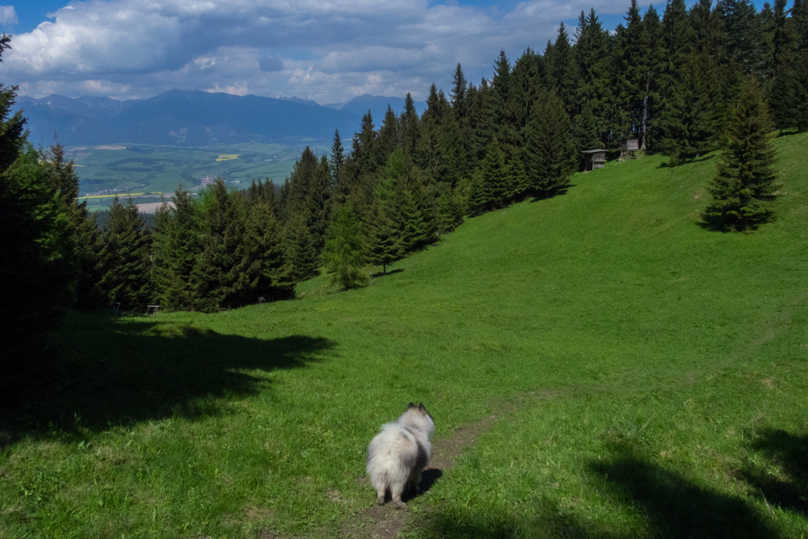 Poludnica z Iľanova (Nízke Tatry)