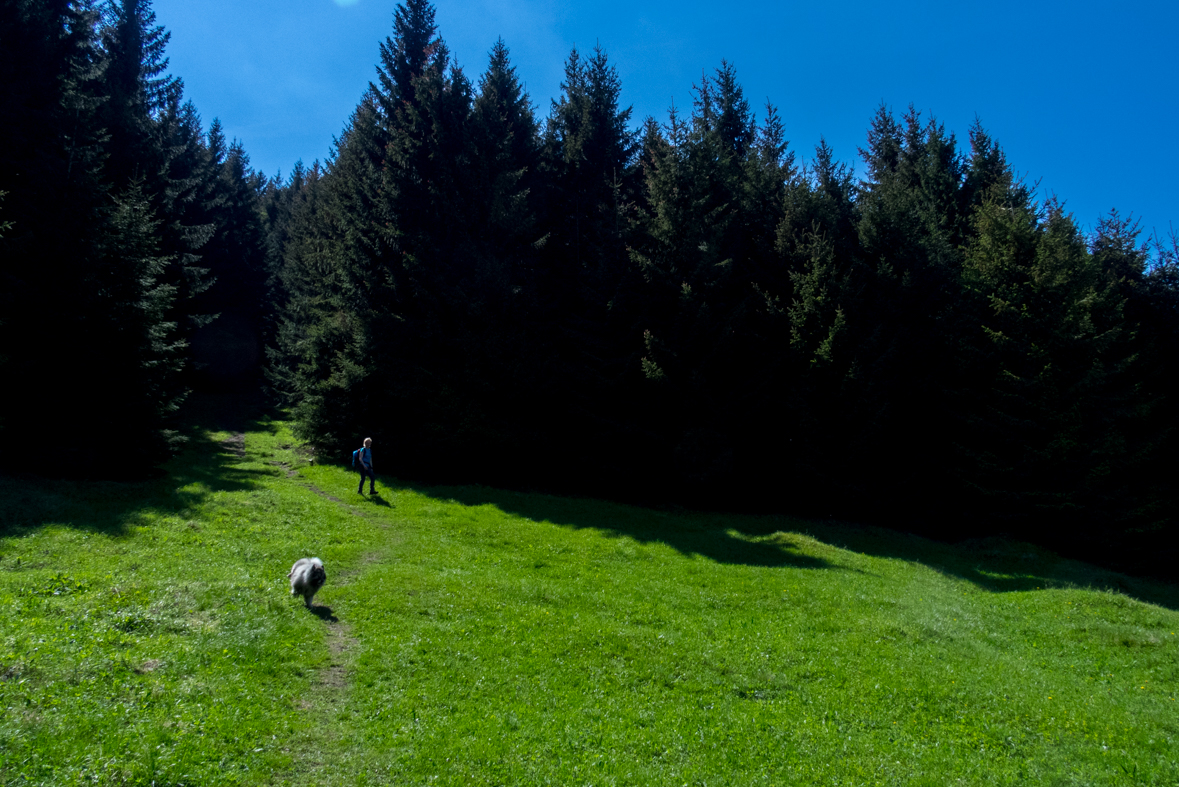 Poludnica z Iľanova (Nízke Tatry)