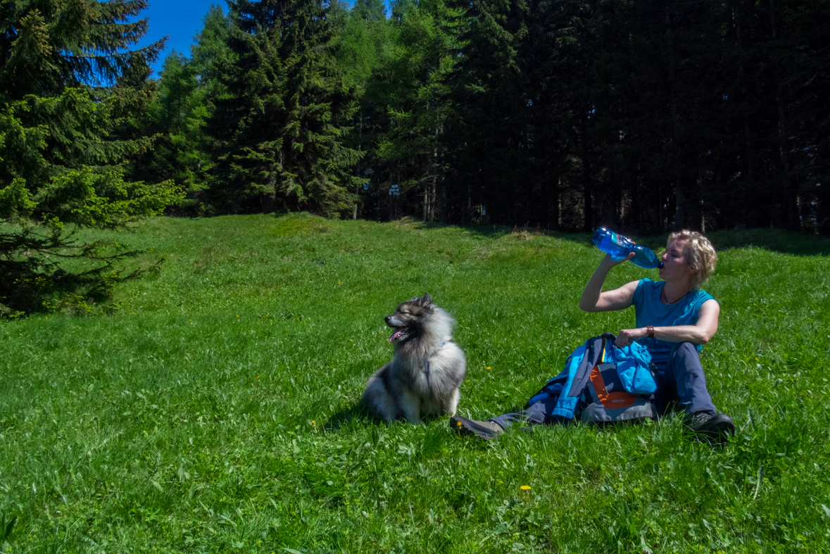 Poludnica z Iľanova (Nízke Tatry)