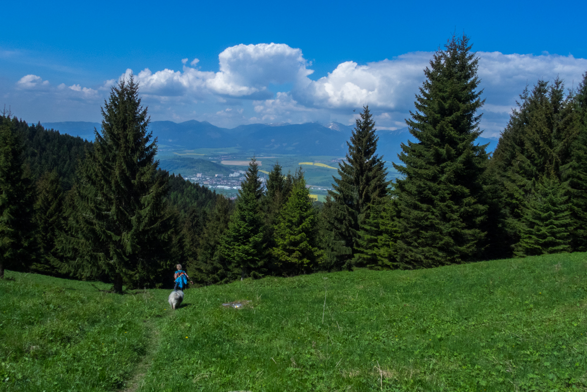 Poludnica z Iľanova (Nízke Tatry)