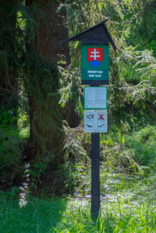 Poludnica z Iľanova (Nízke Tatry)