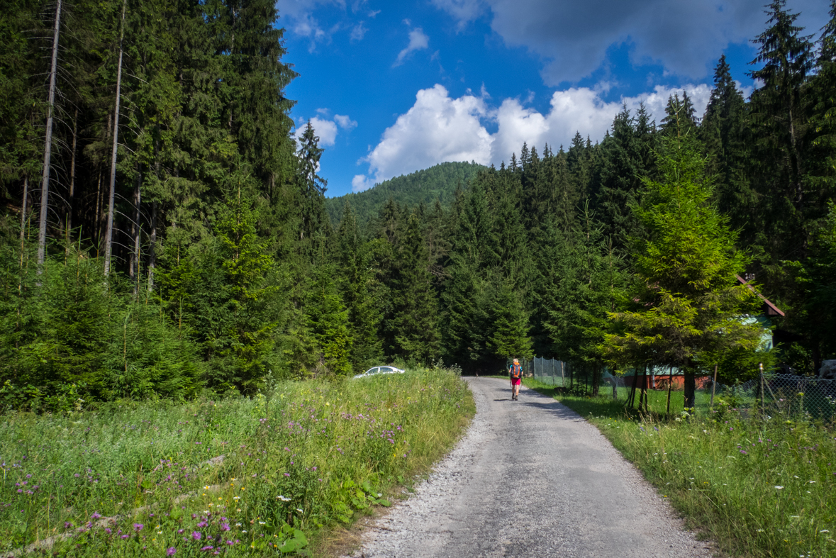 Rakytov od horárne Teplô (Veľká Fatra)