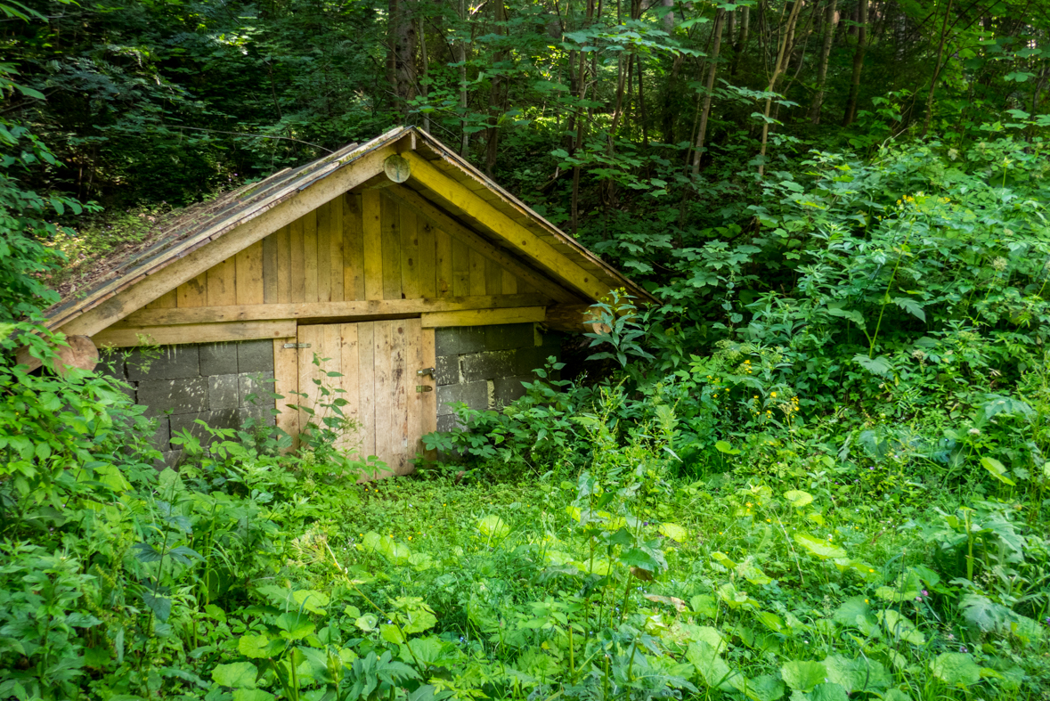 Rakytov od horárne Teplô (Veľká Fatra)