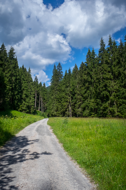 Rakytov od horárne Teplô (Veľká Fatra)