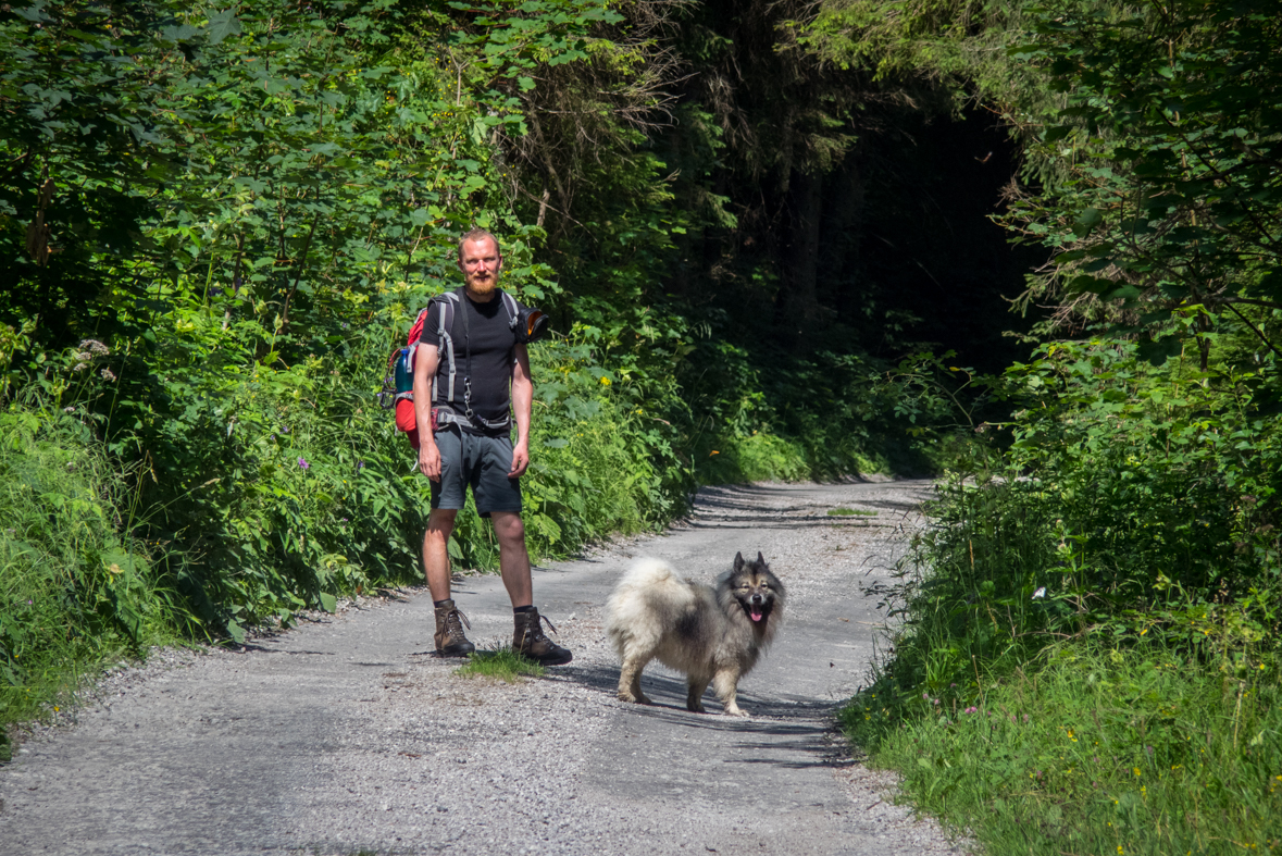 Rakytov od horárne Teplô (Veľká Fatra)