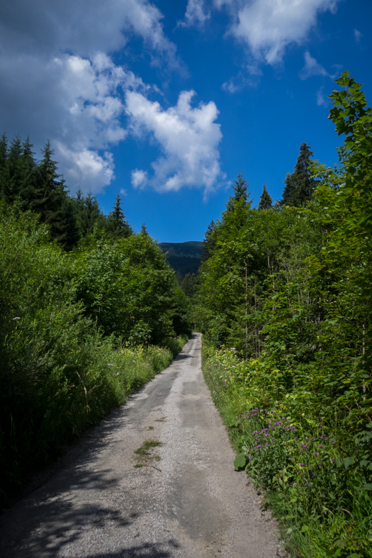 Rakytov od horárne Teplô (Veľká Fatra)