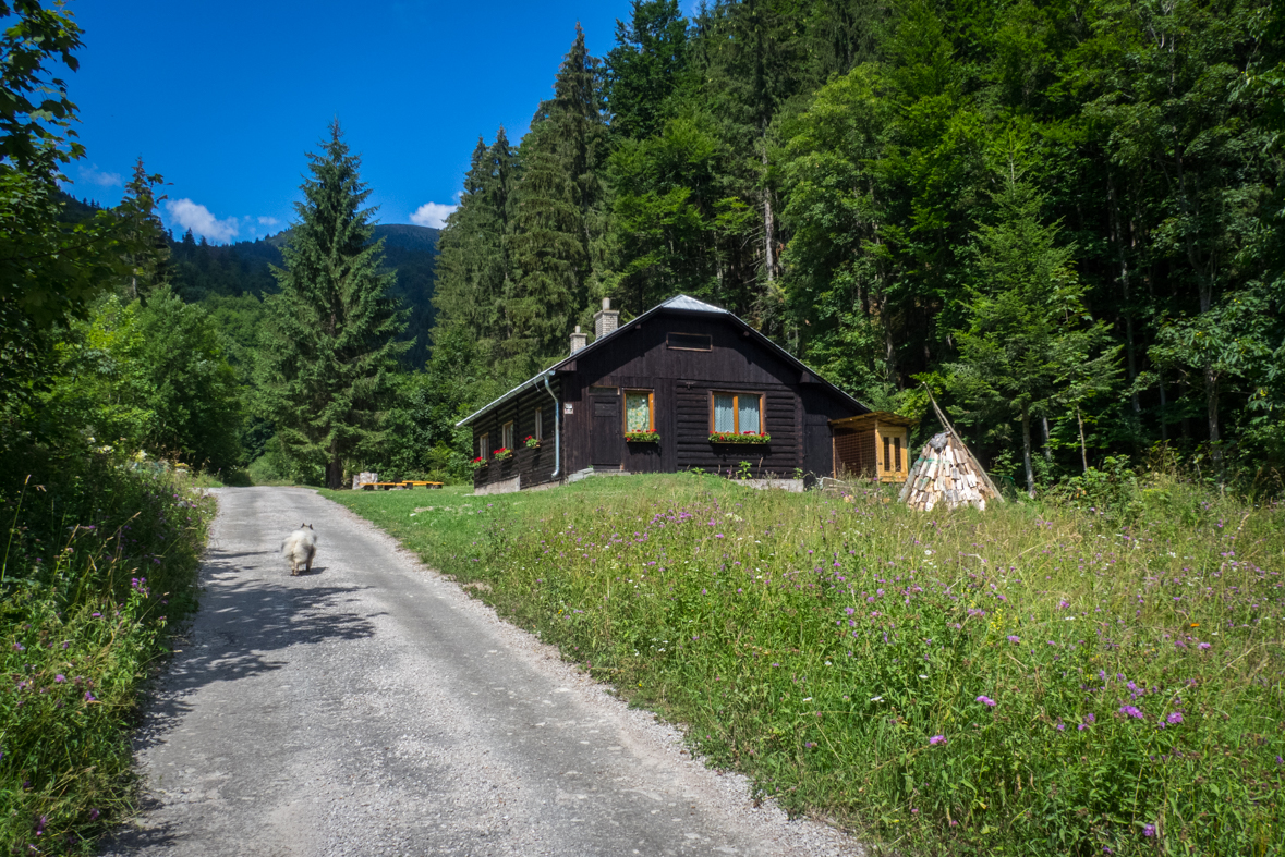 Rakytov od horárne Teplô (Veľká Fatra)