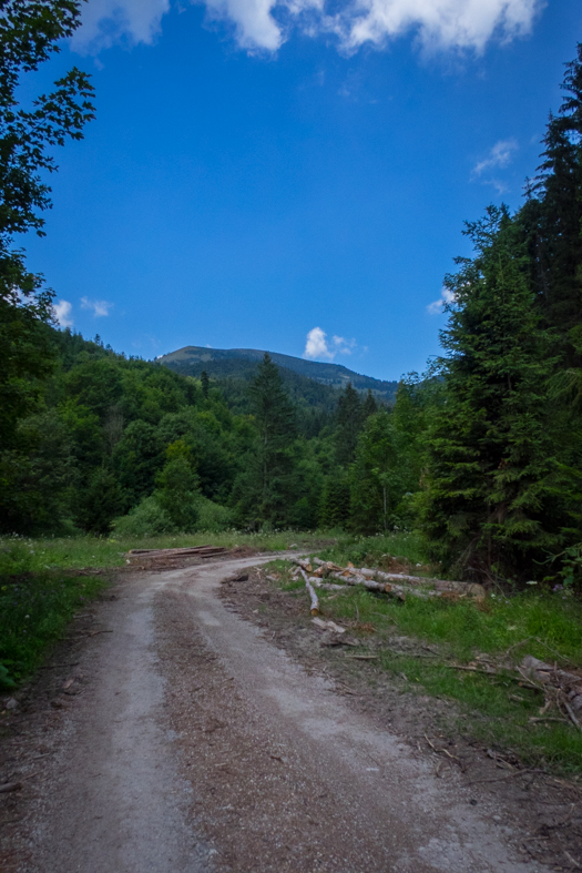 Rakytov od horárne Teplô (Veľká Fatra)