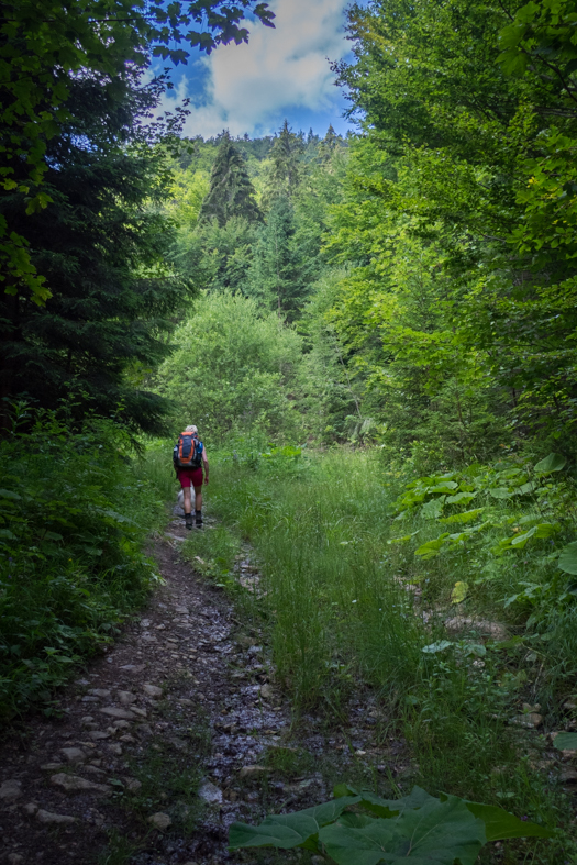 Rakytov od horárne Teplô (Veľká Fatra)