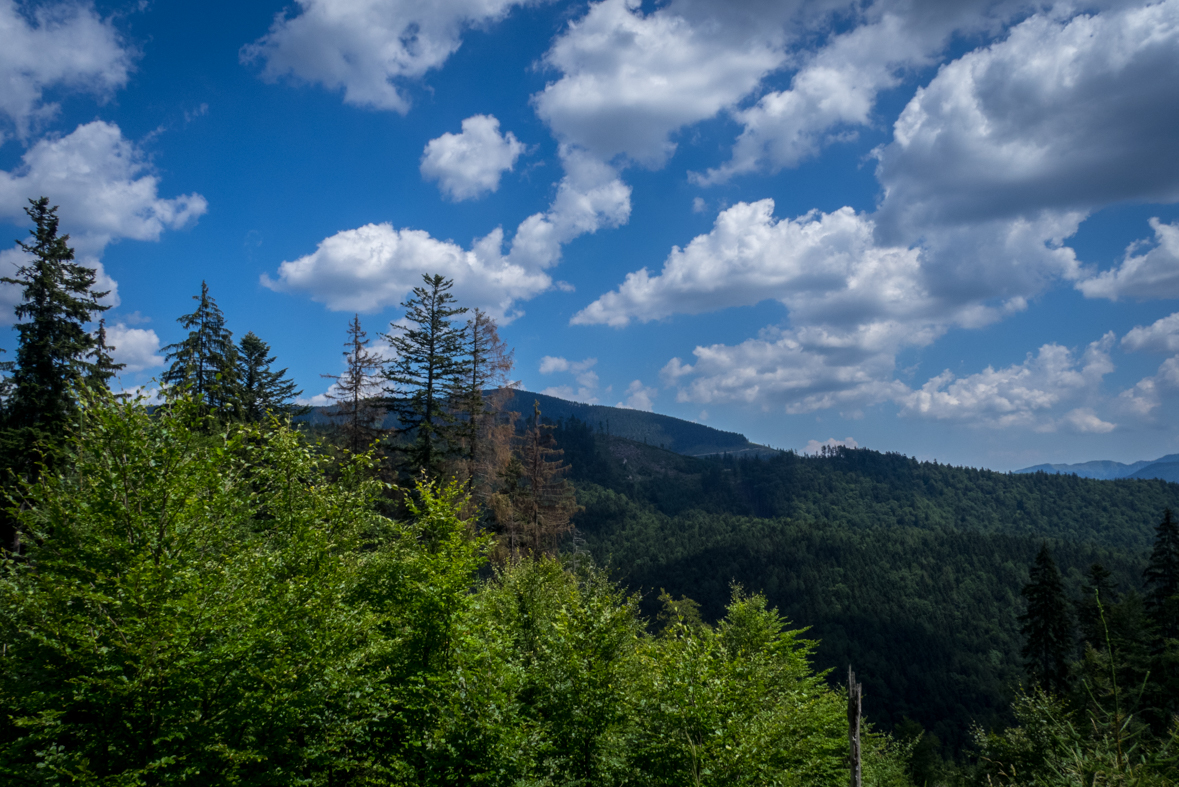 Rakytov od horárne Teplô (Veľká Fatra)