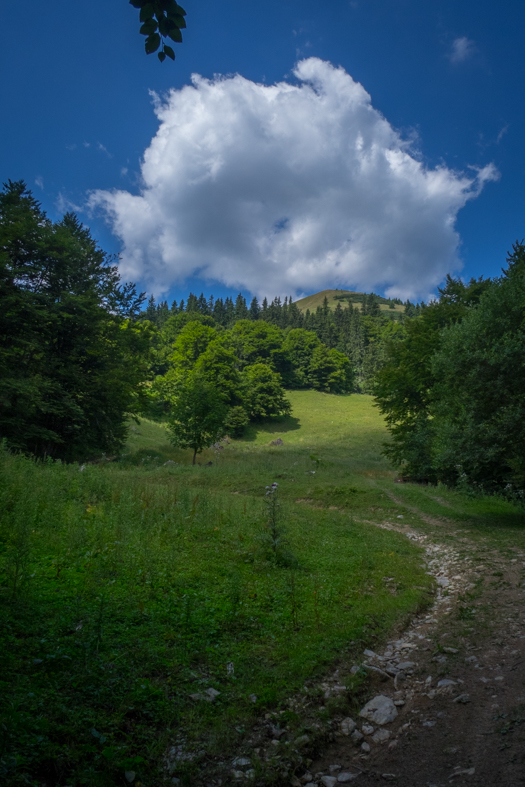 Rakytov od horárne Teplô (Veľká Fatra)