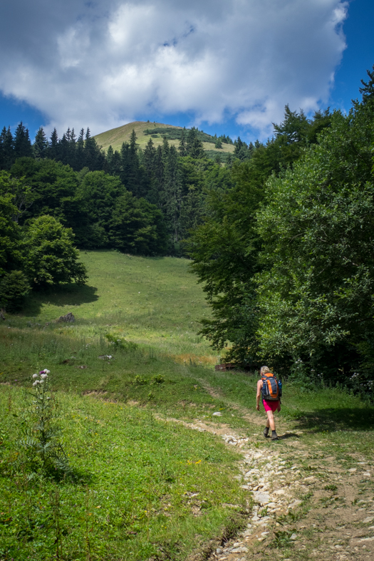 Rakytov od horárne Teplô (Veľká Fatra)