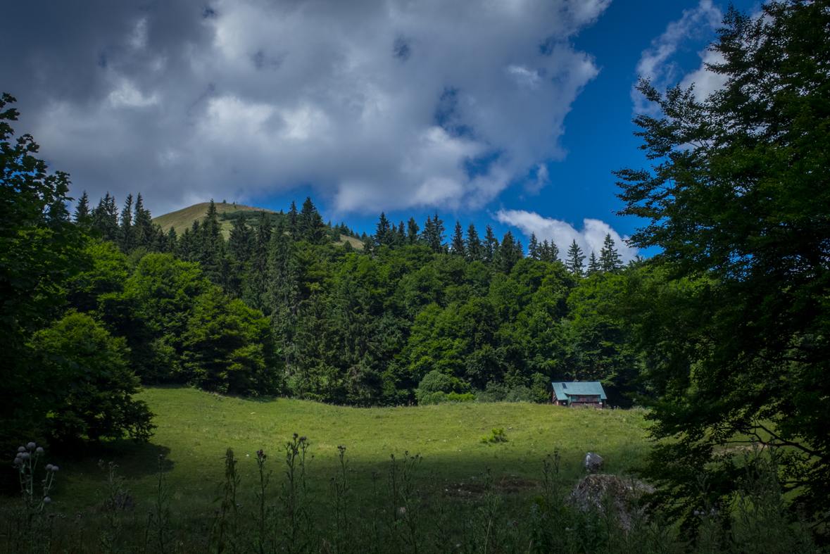 Rakytov od horárne Teplô (Veľká Fatra)