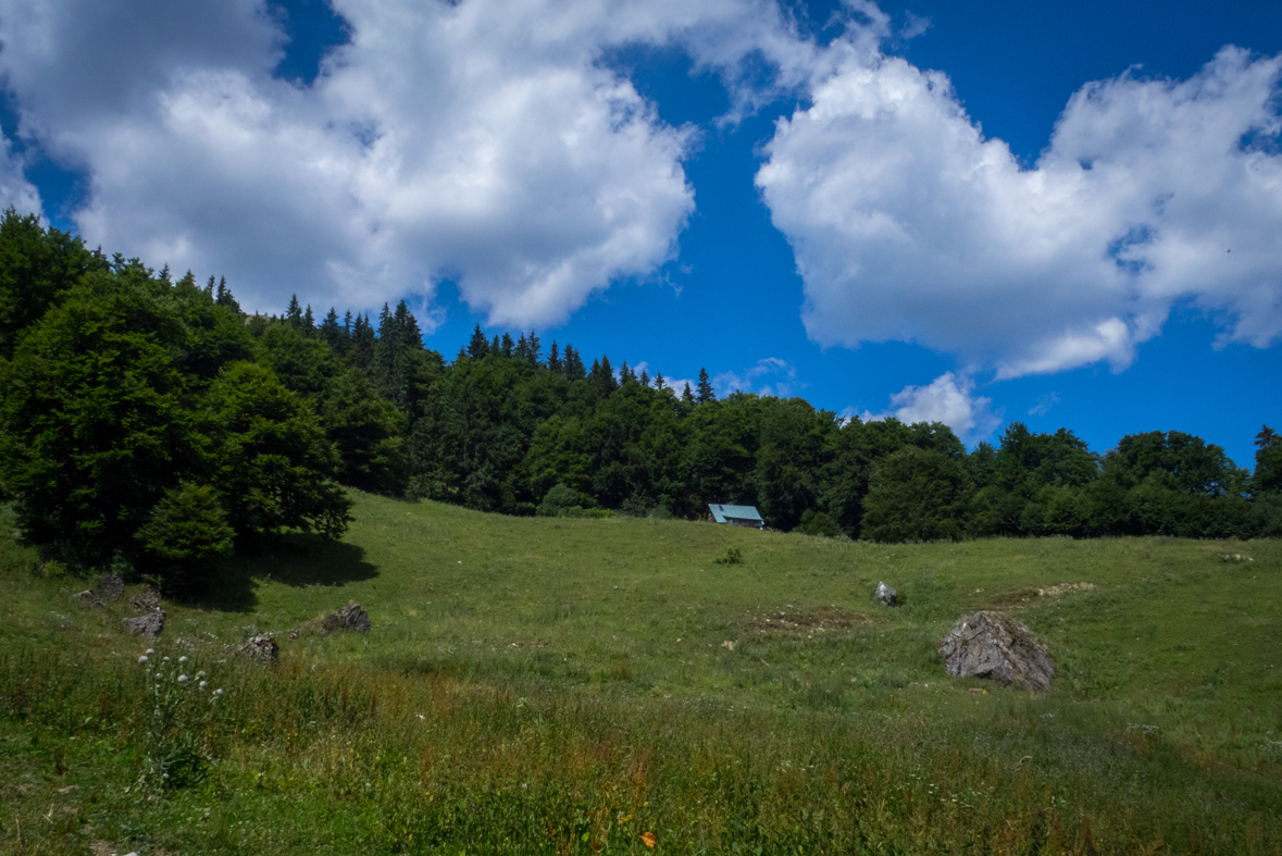 Rakytov od horárne Teplô (Veľká Fatra)