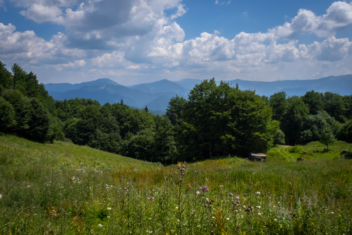 Rakytov od horárne Teplô (Veľká Fatra)