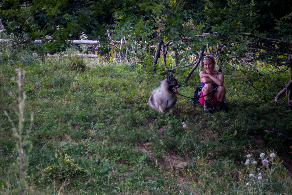 Rakytov od horárne Teplô (Veľká Fatra)