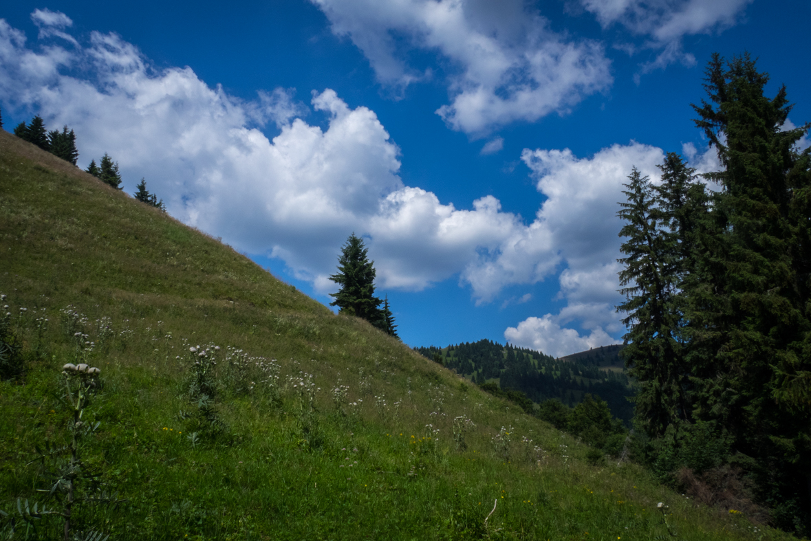 Rakytov od horárne Teplô (Veľká Fatra)