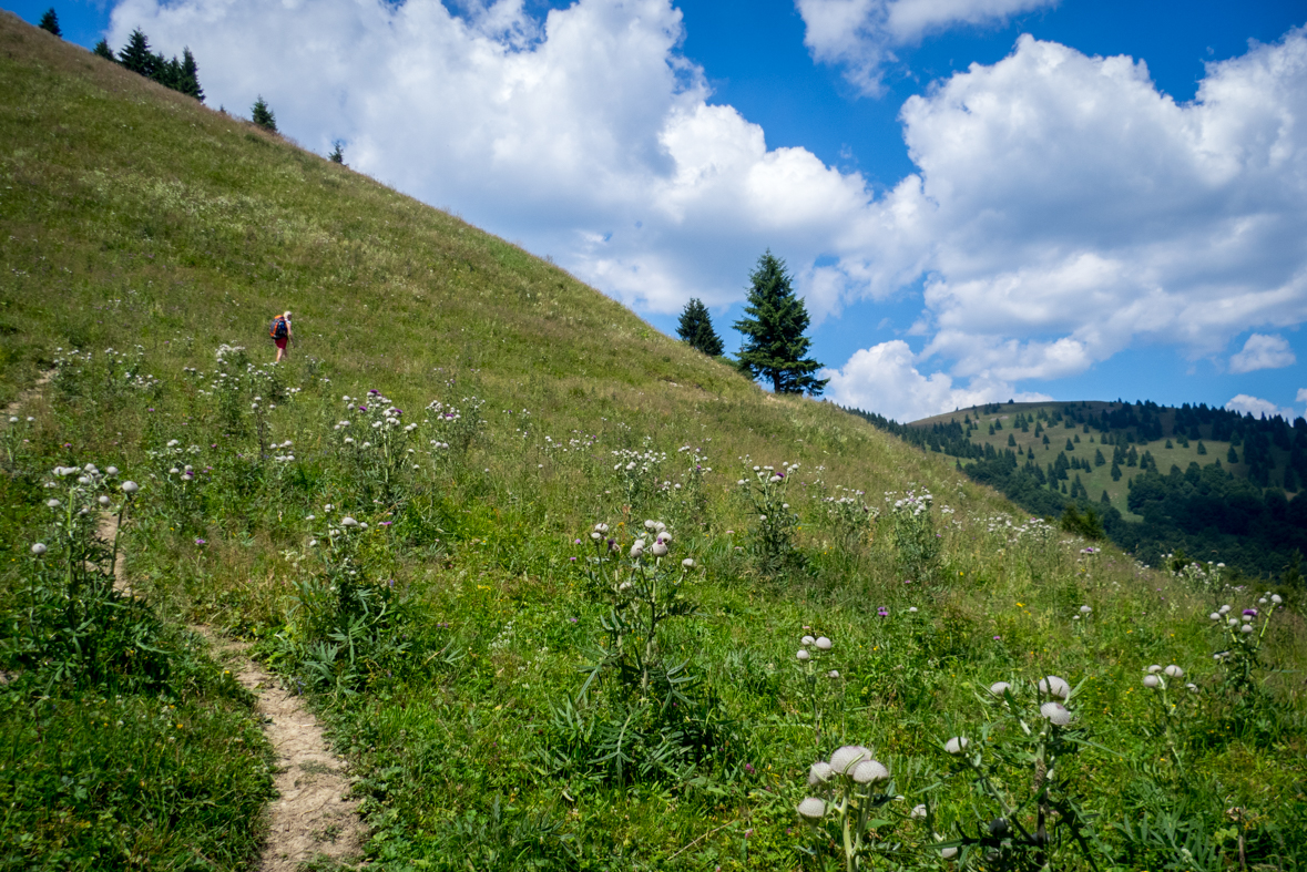 Rakytov od horárne Teplô (Veľká Fatra)