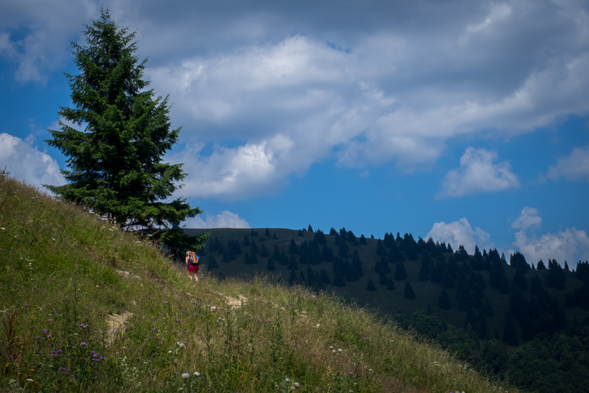 Rakytov od horárne Teplô (Veľká Fatra)