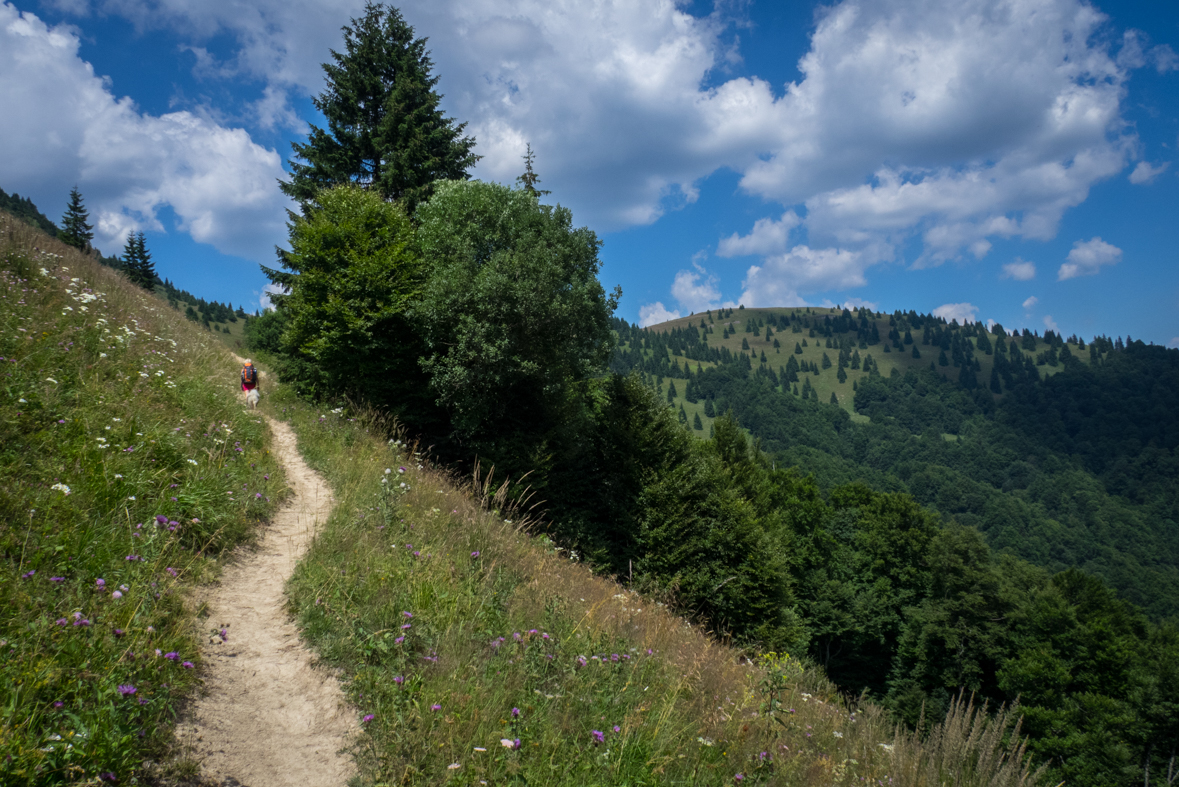 Rakytov od horárne Teplô (Veľká Fatra)