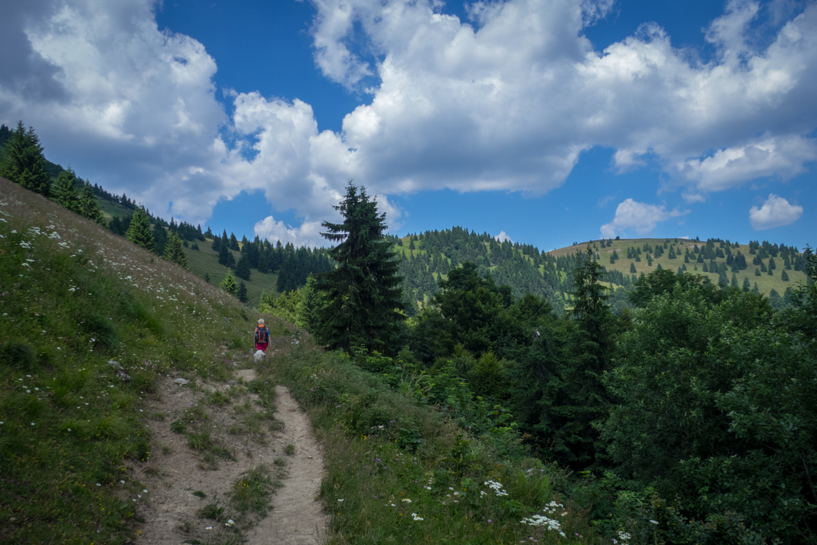 Rakytov od horárne Teplô (Veľká Fatra)