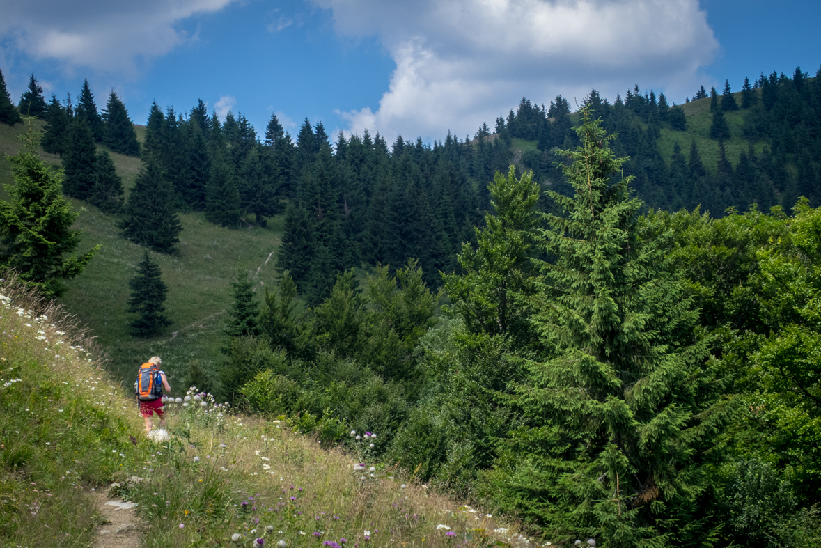 Rakytov od horárne Teplô (Veľká Fatra)