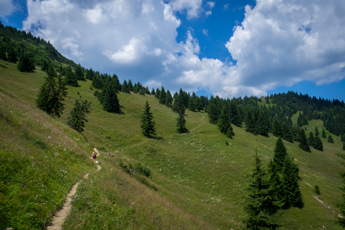 Rakytov od horárne Teplô (Veľká Fatra)