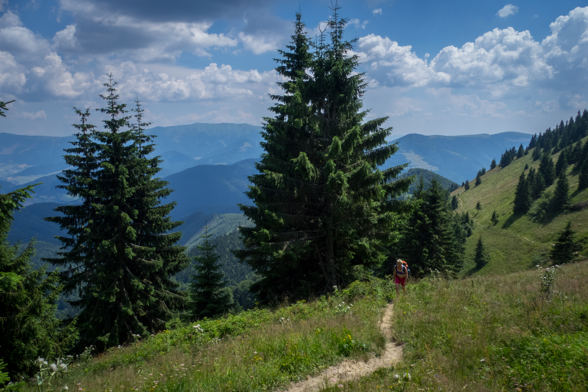 Rakytov od horárne Teplô (Veľká Fatra)