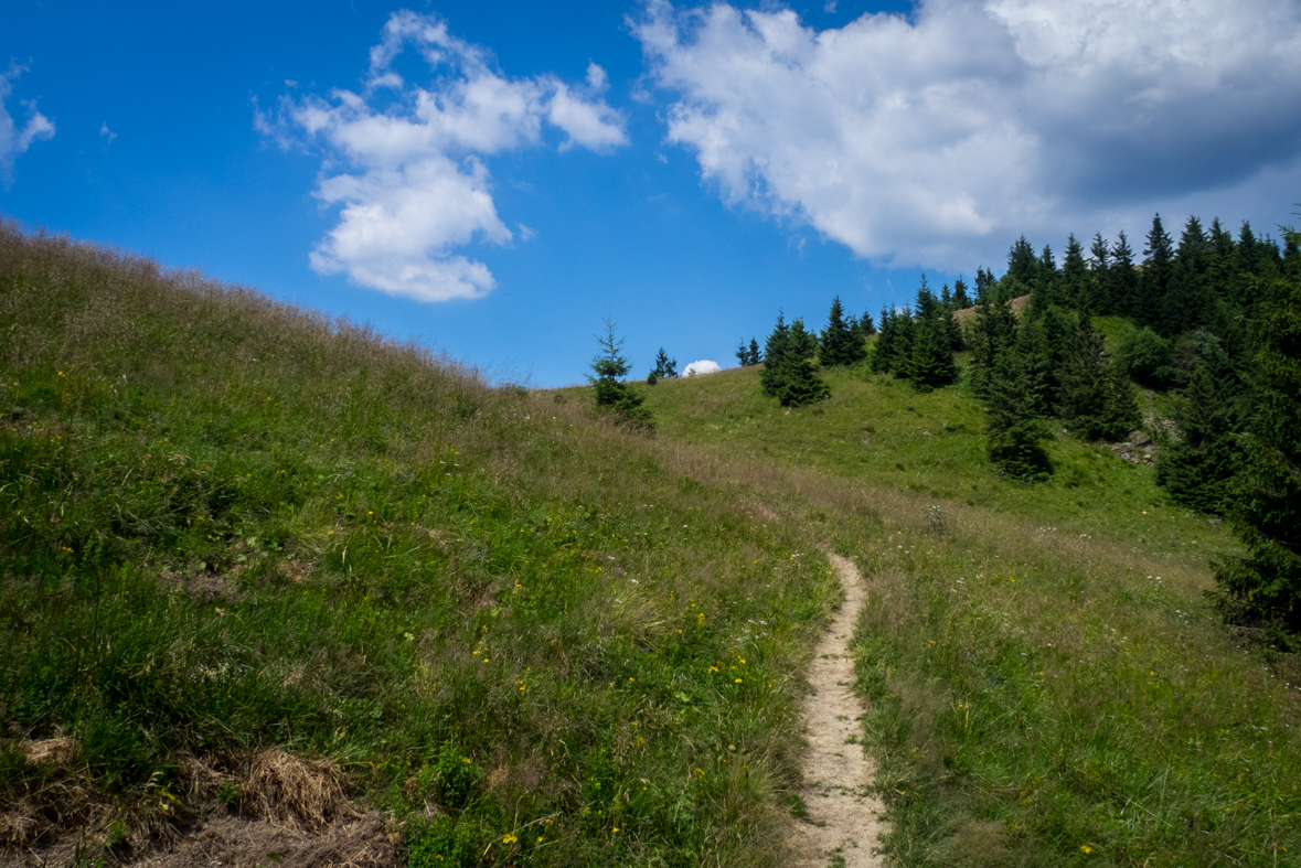 Rakytov od horárne Teplô (Veľká Fatra)