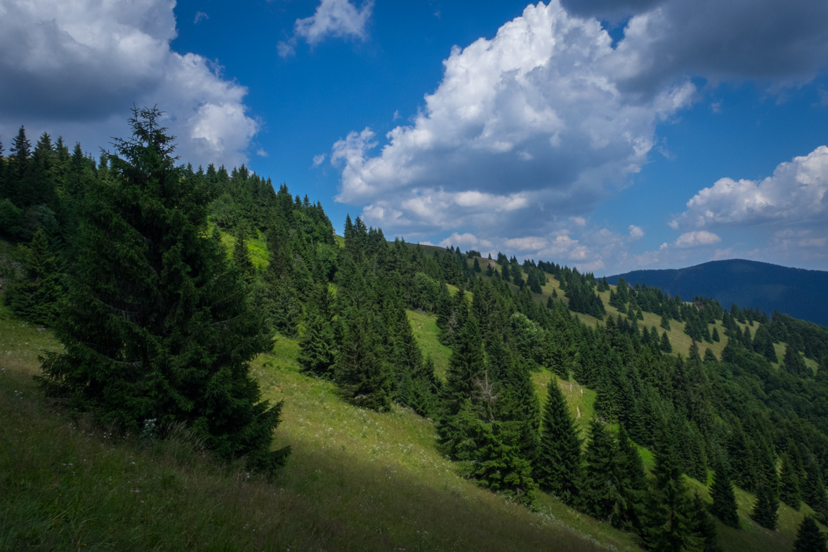 Rakytov od horárne Teplô (Veľká Fatra)