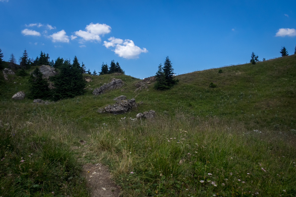 Rakytov od horárne Teplô (Veľká Fatra)