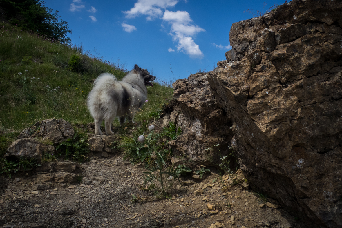 Rakytov od horárne Teplô (Veľká Fatra)