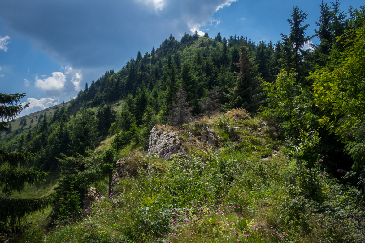 Rakytov od horárne Teplô (Veľká Fatra)